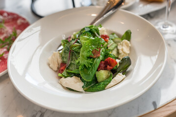 Mixed Green Salad with Mozzarella Cheese and Sun Dried Tomatoes