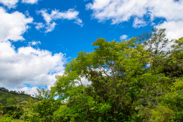 Fototapeta na wymiar Beautiful landscape with trees, blue sky, clouds