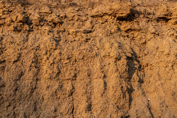 Limestone and clay cliff surface of yellow-orange color.  Background texture.