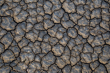 Crack of dry ground land texture background - can use to display or montage on product,Snake dead on cracked soil 