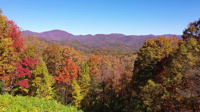 Beautiful aerial of trees turning color in autumn or fall in the Blue Ridge Mountains of Appalachia, North Georgia, the Chattahoochee�Oconee National Forest.