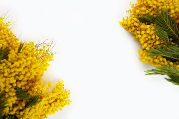Floral frame of mimosa on white background. Flat lay, top view.