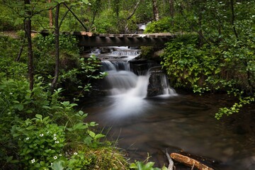Little cascade fall streaming in nature