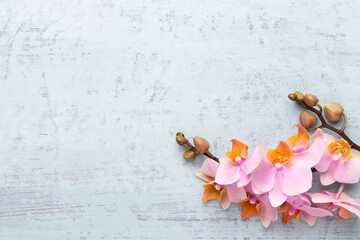 Orchid beauty flowers on vintage background. Spa background, spa therapy, beauty. Spa treatment.