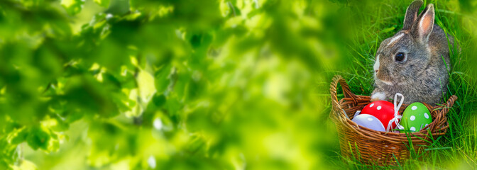 the garden with cute easter rabbit