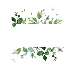 Herbal horizontal vector frame. Hand painted plants - obrazy, fototapety, plakaty