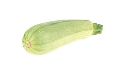 zucchini whole isolated on white background isolated on white background
