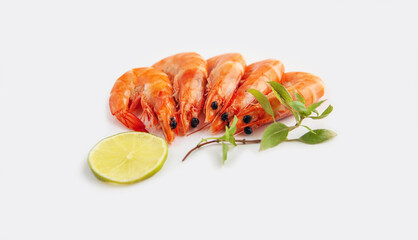 Fresh shrimp on white background