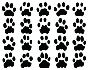 Black footprints of leopard on a white background