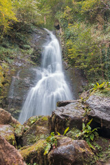 Fototapeta premium waterfall in the forest at Mtirala national park