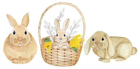 Watercolor set. Set of three Easter bunnies, baskets with Easter flowers.