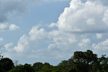 sky cob big clouds over llano in colombia