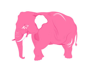 pink elephant isolated on white