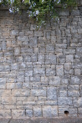 wall