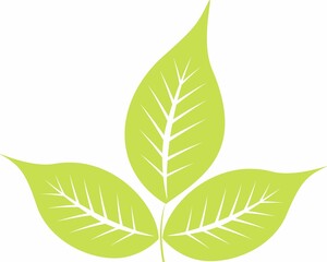 Design Texture Pattern. It can be used for decorating of wedding invitations, Ceramic Tiles, decoration for Textile Cloth and at Saree Design.