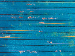 Aerial top view of group of swimmers training in swimming pool. Many sportive people swim in Open...