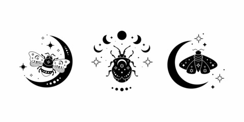 Celestial butterfly, bee and bug vector illustration set. Black silhouette of mystical moth with moon phases, magic composition. Magic insect, esoteric symbol. - obrazy, fototapety, plakaty
