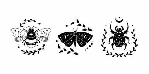 Vector illustration set of celestial butterfly, bee and bug with leaves. Black silhouette of magic insect, esoteric symbol, mystical composition. - obrazy, fototapety, plakaty