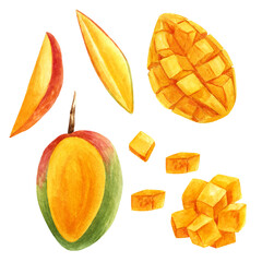 Mango clipart in watercolor