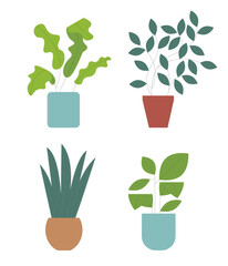 Set of pot green home plants. Vector flat drawn illustration isolated on white background