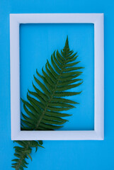 fern, fern leaf, spring flower, field flower, garden flower, letter, place for text, frame, background