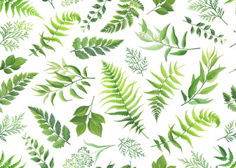 Fototapeta na wymiar Seamless pattern with green leaves, foliage branches. Forest herbs on white background. Floral wallpaper. Vector illustration.