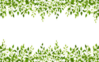 Foliage frame birch spring nature leafy edge green flat style. Eco natural fresh sprout tender background invitation wedding label product promo board. Summer card simple light on white