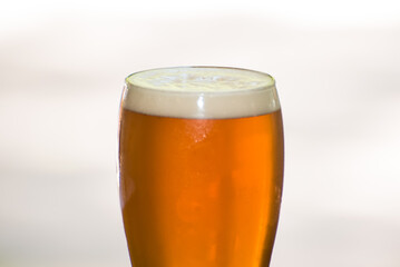 glass of homemade and sparkling craft beer, white background