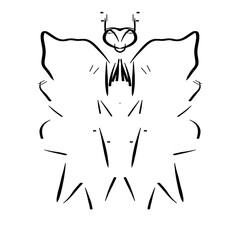 abstract butterfly on a white background