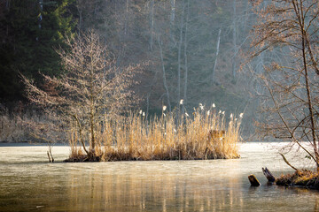 Island in the frozen lake