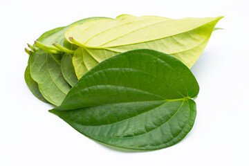 Obraz premium Green betel leaves, Fresh piper betle on white background