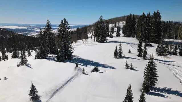 2022 - Excellent aerial view of a man driving a snowmobile past pine trees on a mountain.