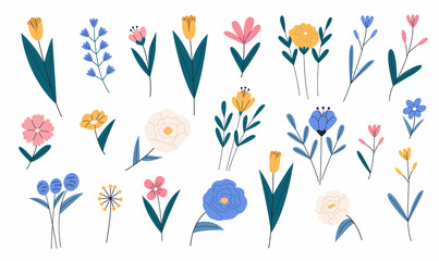 Set of various beautiful garden and field flowers