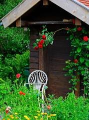 romantyczny kącik wypoczynkowy w ogrodzie, wiklinowy, biały fotel i czerwone róże, relaxation...