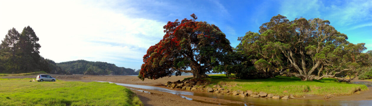 Wainui Bay, Northland, New Zealand Panoramic