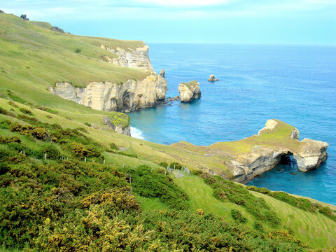 Overlooking Tunnel Beach, Coastal Otago, New Zealand