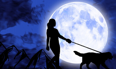 Girl woman with Dog Silhouette under full Moon at night illustration