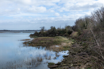Medway Estuary and Marshes, a 4,748.8-hectare biological Site which stretches along the banks of the River Medway between Gillingham and Sheerness in Kent.