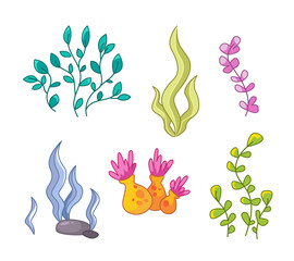 Seaweed set. Seaweed vector illustration in cartoon childish style. Isolated funny clipart on white background. cute print.