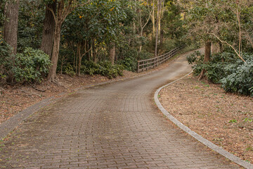 植物園の中の遊歩道、森林と石畳の歩道