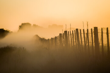 misty morning sunrise