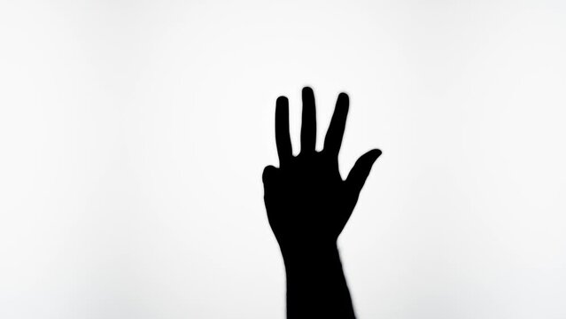 Woman counting fingers isolated on white background. Man holding hand shadow silhouette close-up, showing five gesture.