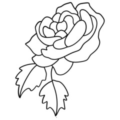 Valentine Decoration-Rose outline design-SVG illustration for web, wedsite, application, presentation, Graphics design, branding, etc.