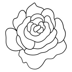 Valentine Decoration-Rose outline design-SVG illustration for web, wedsite, application, presentation, Graphics design, branding, etc.