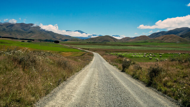 long and winding gravel road through rural Timaru agriculture and farmland, near the Taiko Hill area