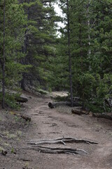 Remote Colorado Hiking Trail