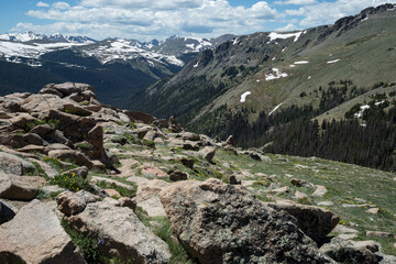 Rugged boulders and mountains in Rocky Mountain National Park with a few wildflowers