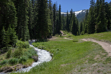 Footpath next to stream in the mountains of Rocky Mountain National Park
