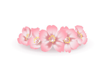 Fototapeta na wymiar ほどよくリアルな桜の花のベクター素材