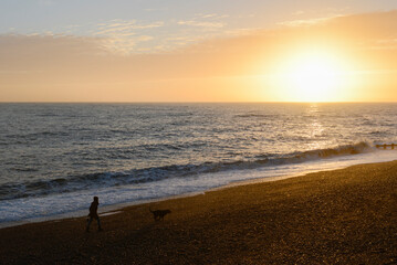 Woman walking the dog on the beach during sunset
